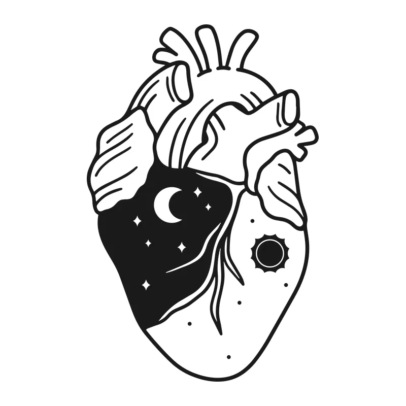 Day and Night Anatomical Heart