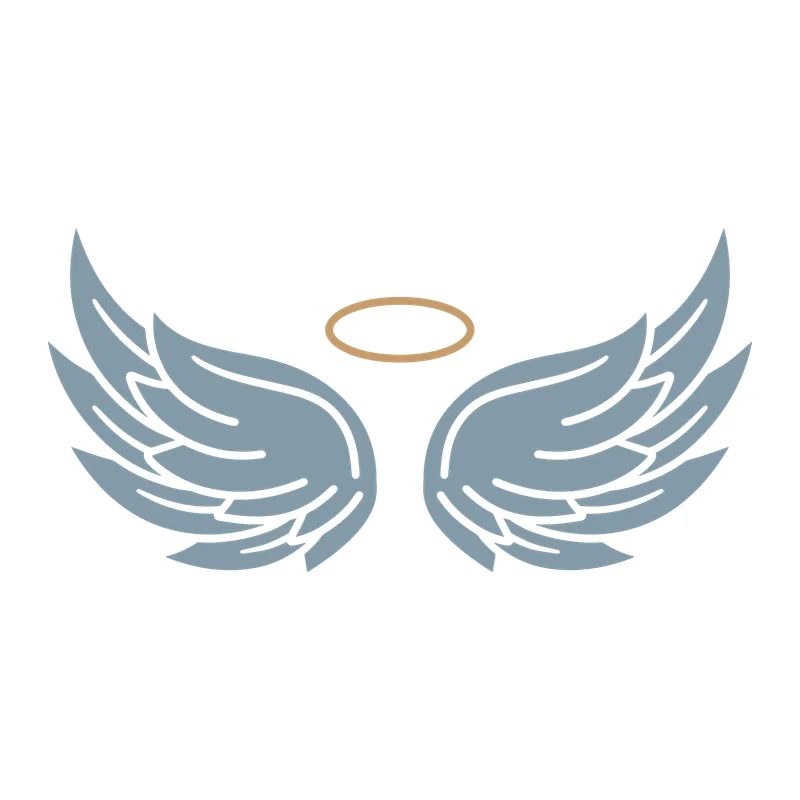 Angel Wings with Halo