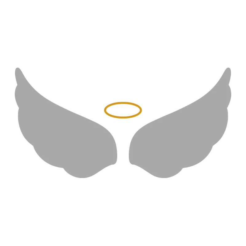 Angel Wings With Halo