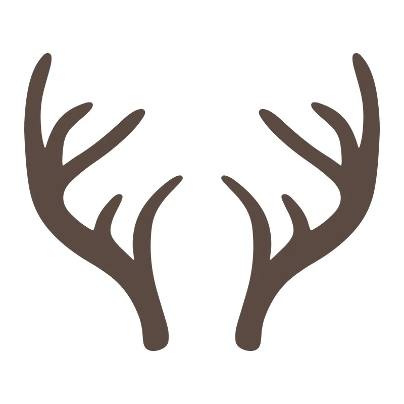 Deer Antlers