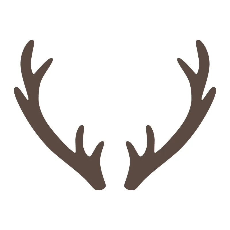 Deer Antlers