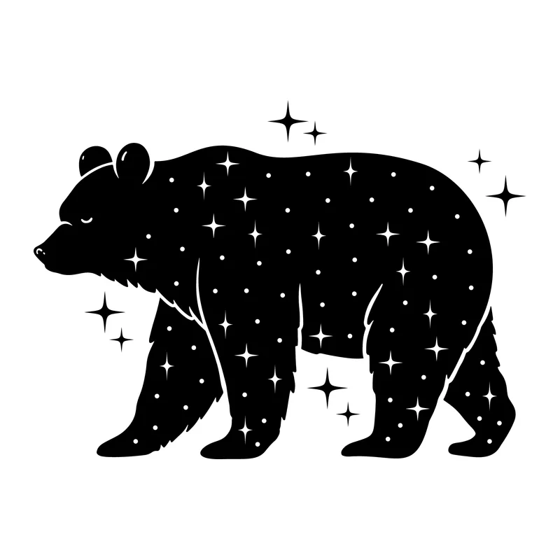Starry Night Bear