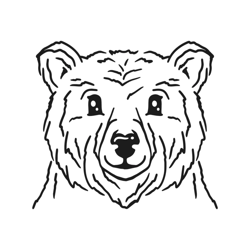 Hand Drawn Bear Face