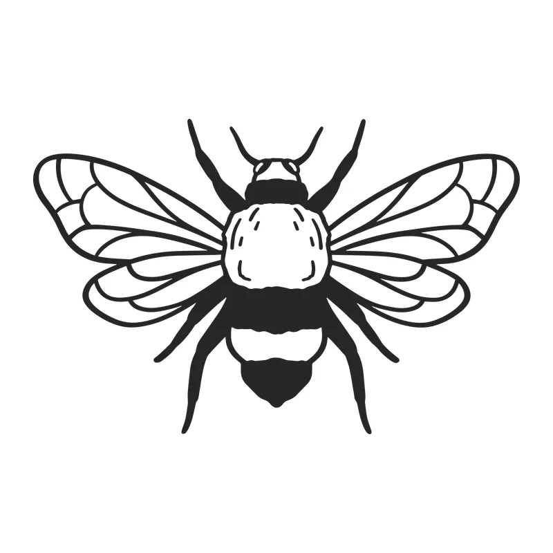 Bumble Bee Line Art