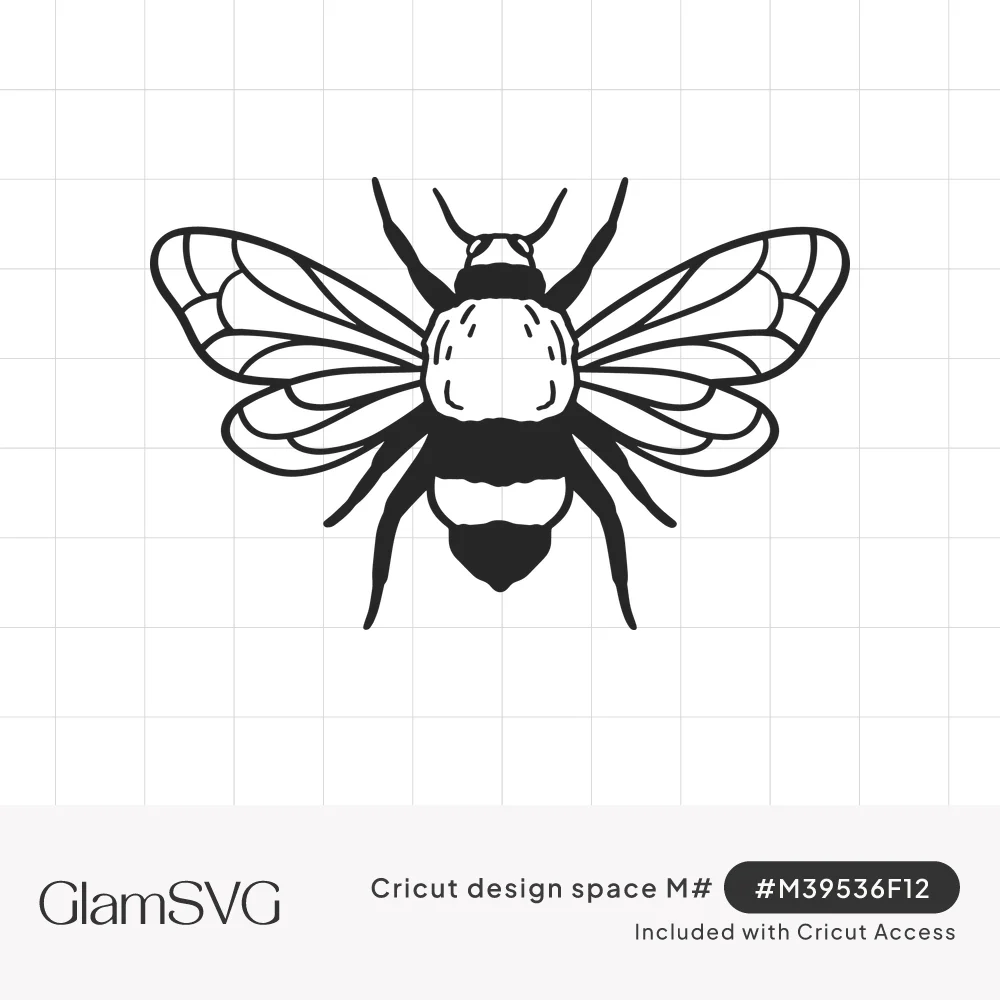 Black and white line drawing of a bumble bee from above with outstretched veined wings and a striped body