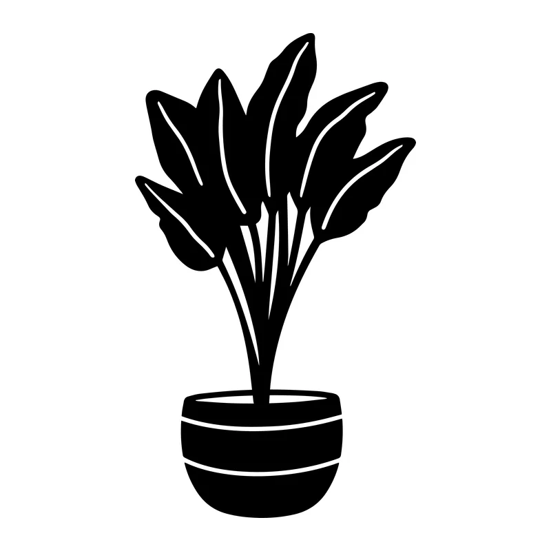 Bird Of Paradise Houseplant