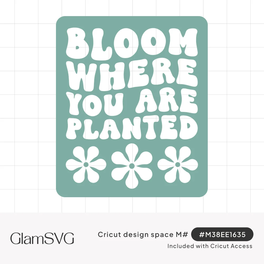 Sage green rectangle with wavy white groovy text reading Bloom Where You Are Planted above three daisy flowers