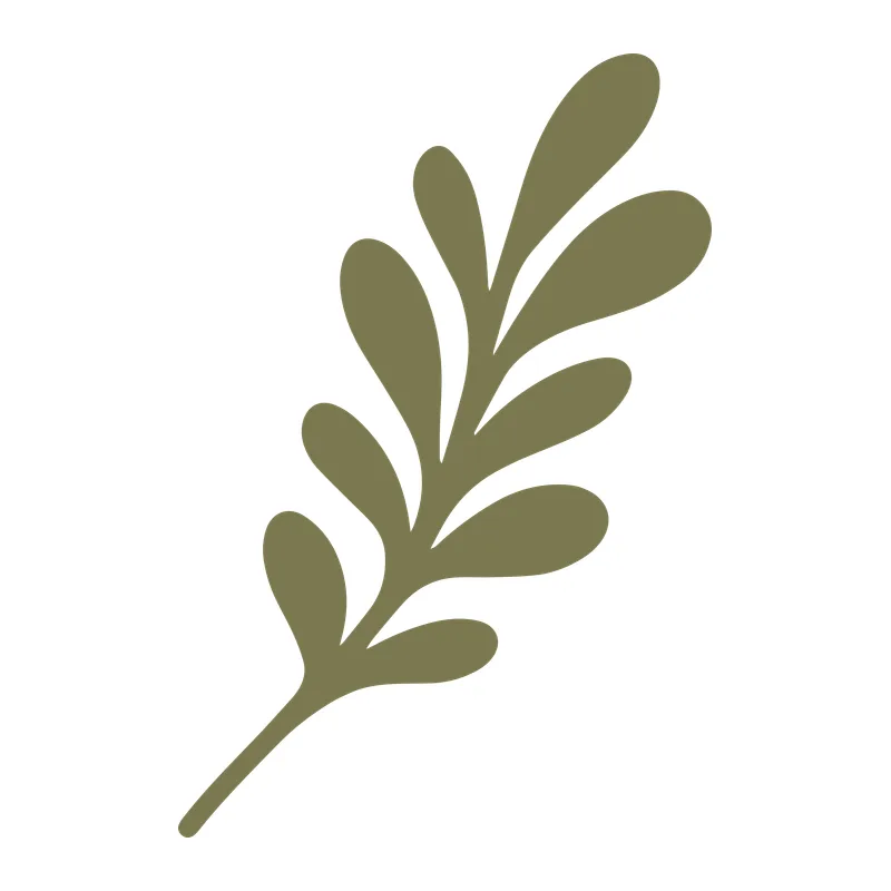 Olive Green Leafy Branch