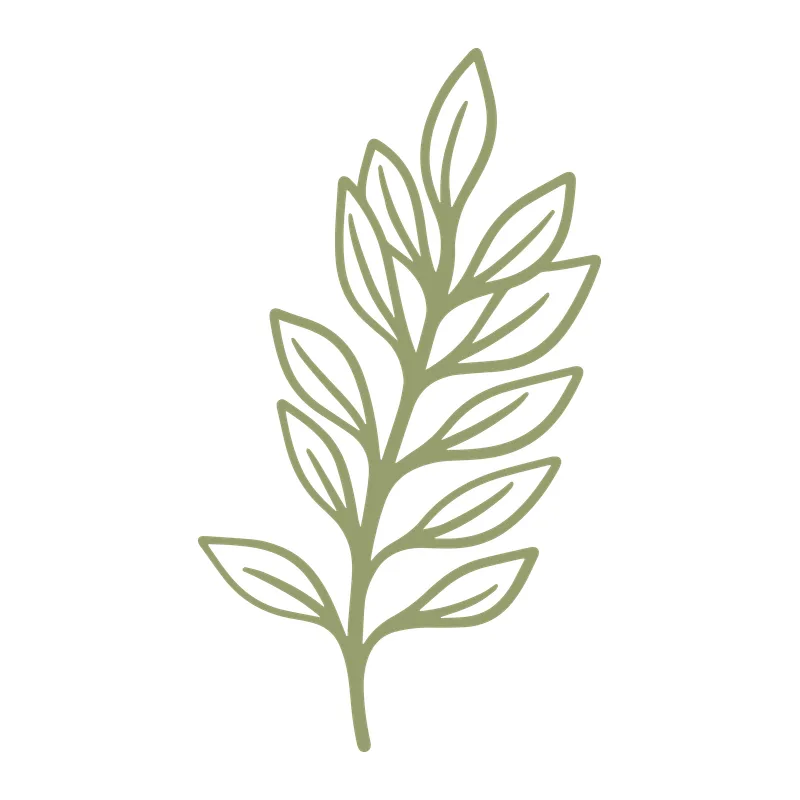 Branch of Leaves