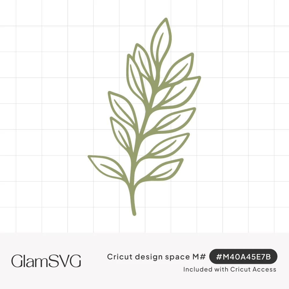 Sage green line drawing of a leafy branch with pointed oval leaves and center veins along a curved stem