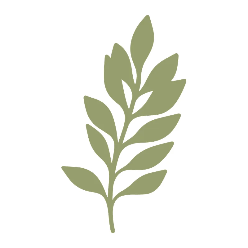 Branch of Leaves