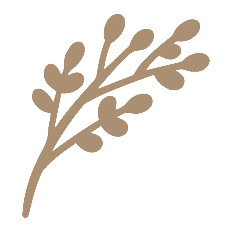 Branch of Leaves