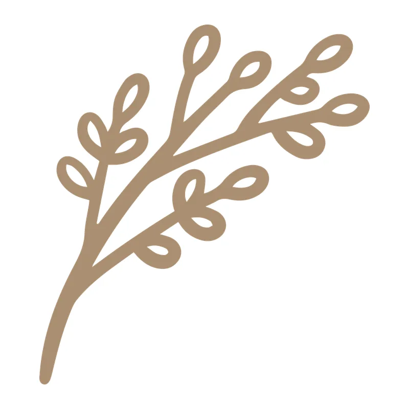 Branch of Leaves