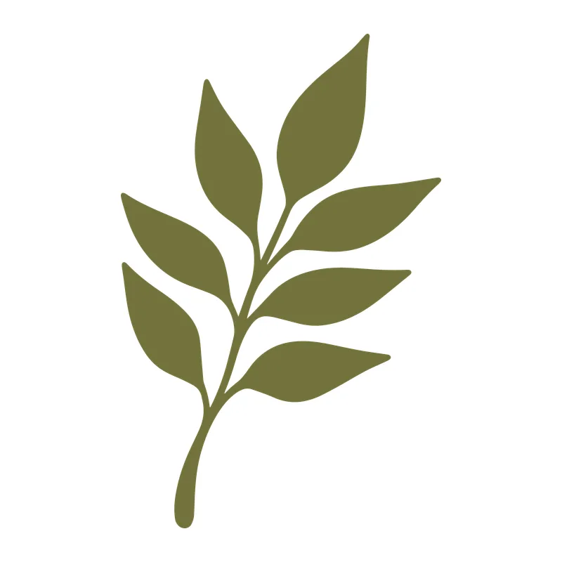 Olive Green Leafy Branch