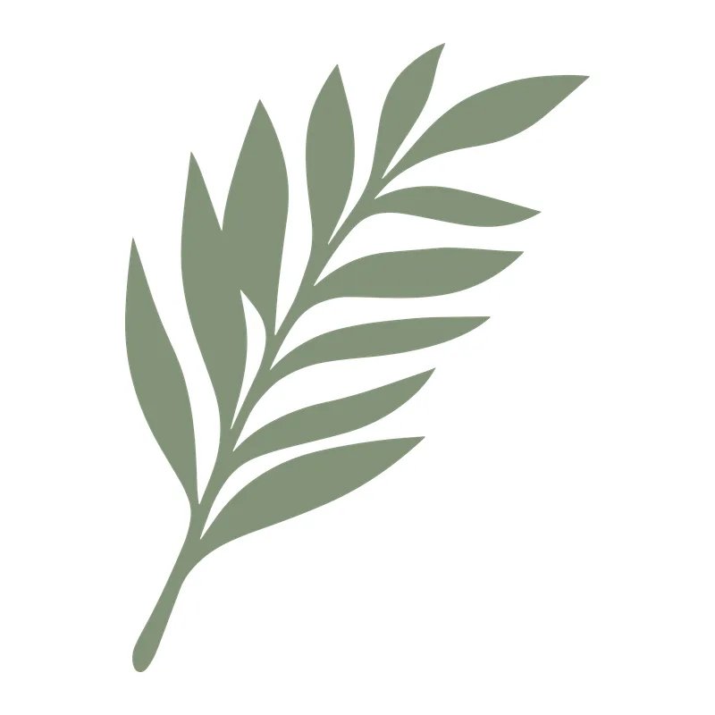 Branch of Leaves