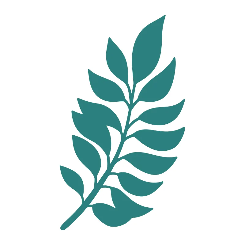 Branch of Leaves