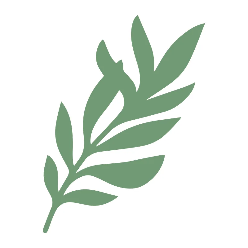 Branch of Leaves