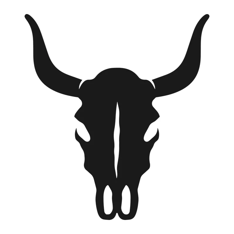 Western Bull Skull