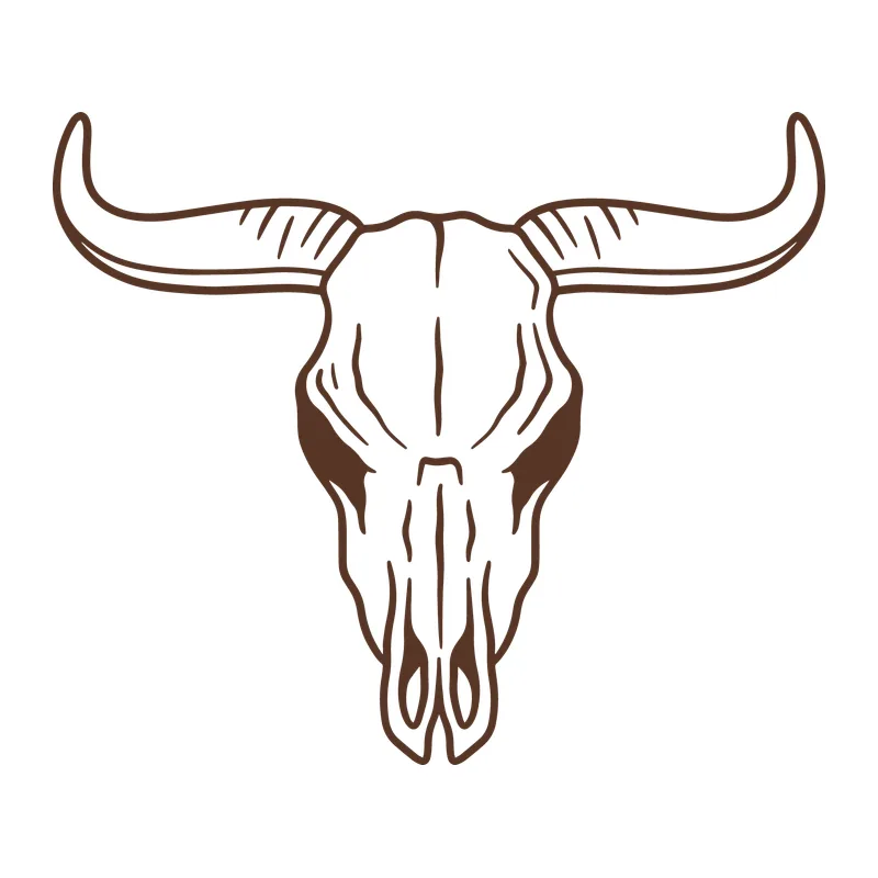 Longhorn Bull Skull