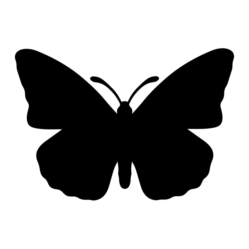 Butterfly Silhouette