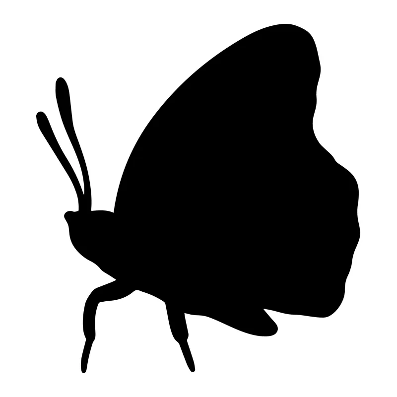 Butterfly Side Silhouette