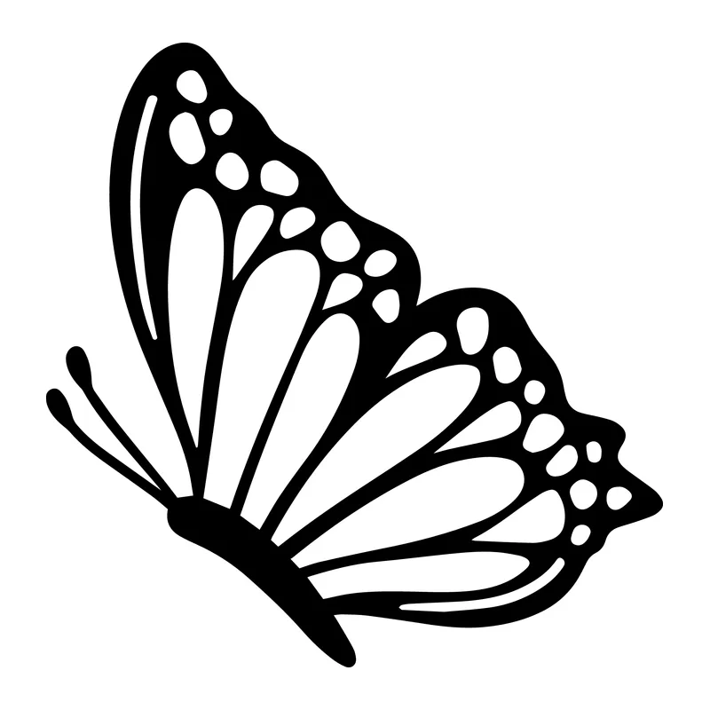 Monarch Butterfly Side View