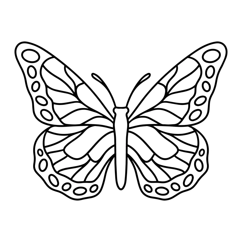 Monarch Butterfly Outline