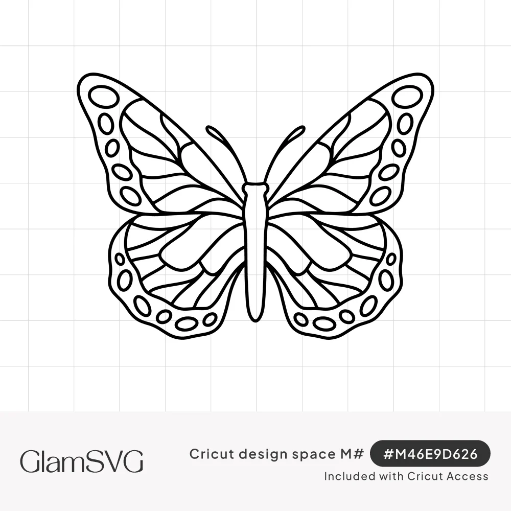 Black line drawing of a monarch butterfly with open wings, veined patterns, spotted edges and curled antennae