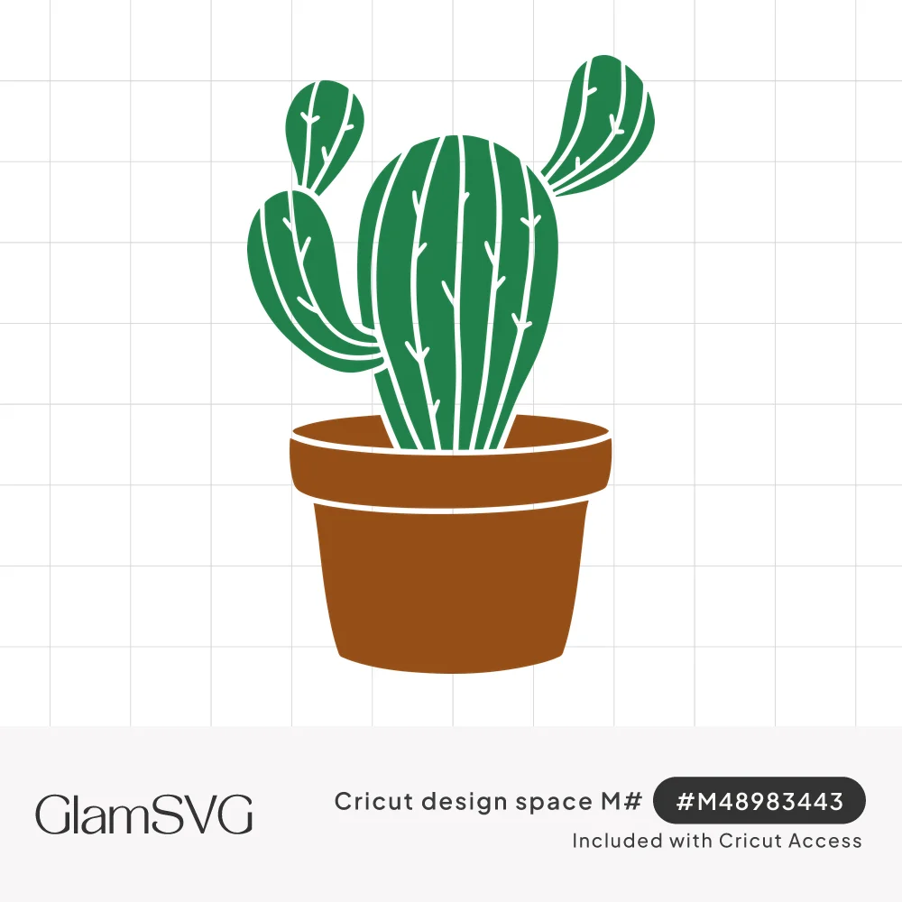 Green cactus with rounded arms and white spine lines growing in a brown terracotta flower pot