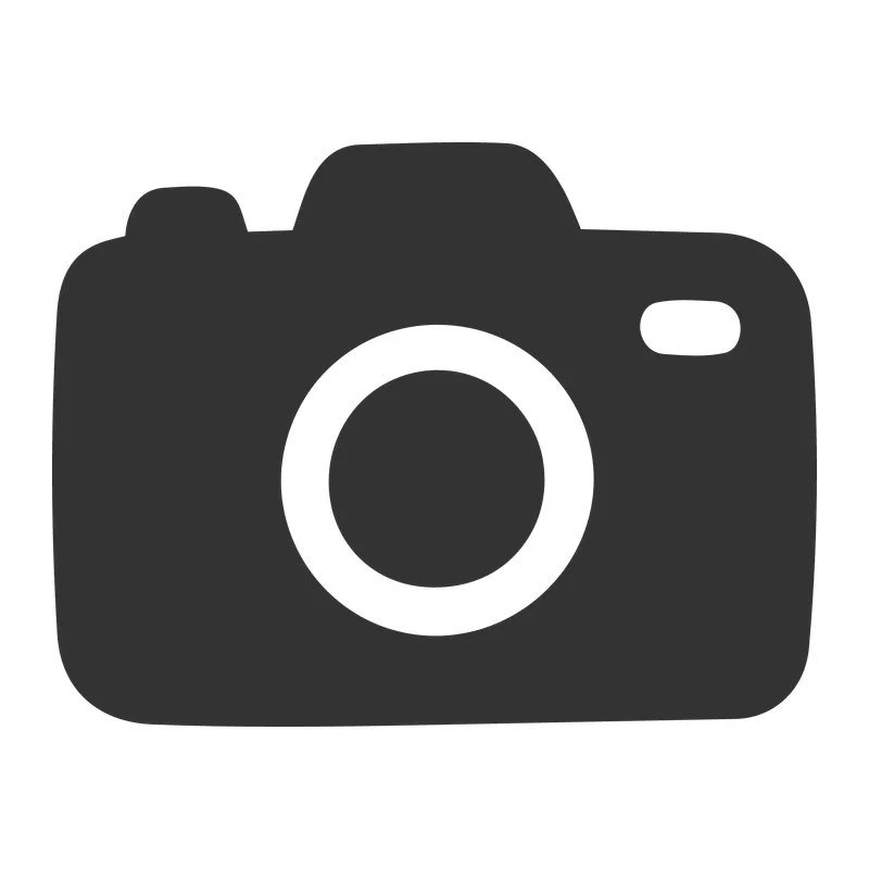 Camera Silhouette