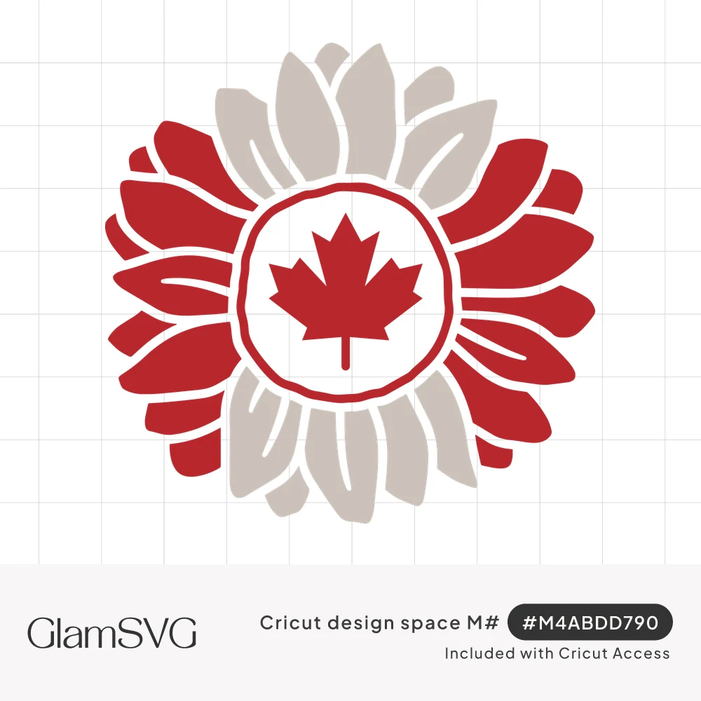 Sunflower with red and gray petals around a white center holding a red Canadian maple leaf