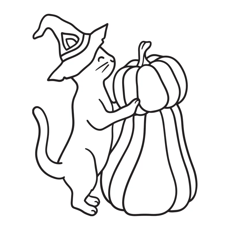 Witch Hat Cat With Pumpkin