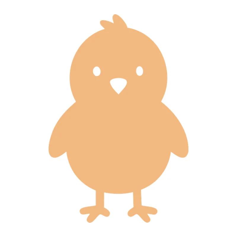 Baby Chick