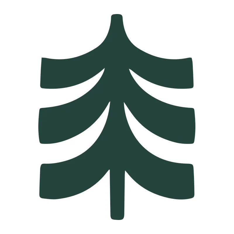 Modern Evergreen Christmas Tree