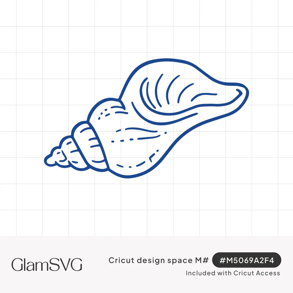 Blue line drawing of a conch shell with a spiral tip, curved ridges and dashed detail lines