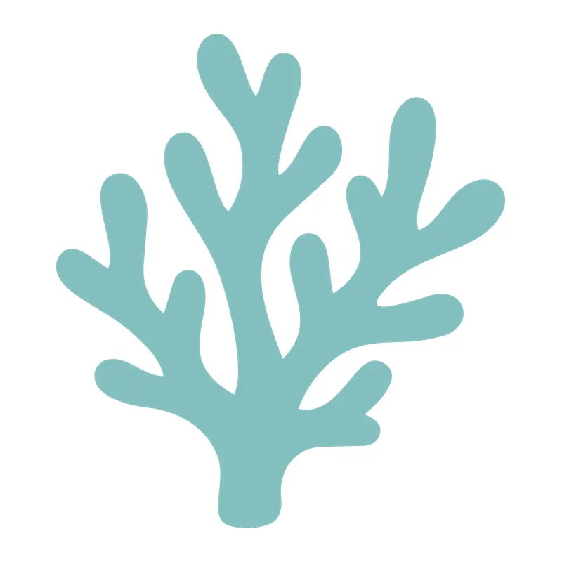 Branching Sea Coral