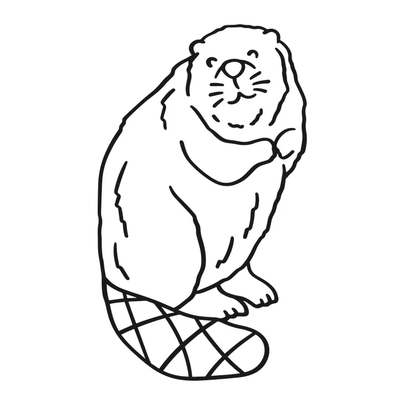 Cute Beaver