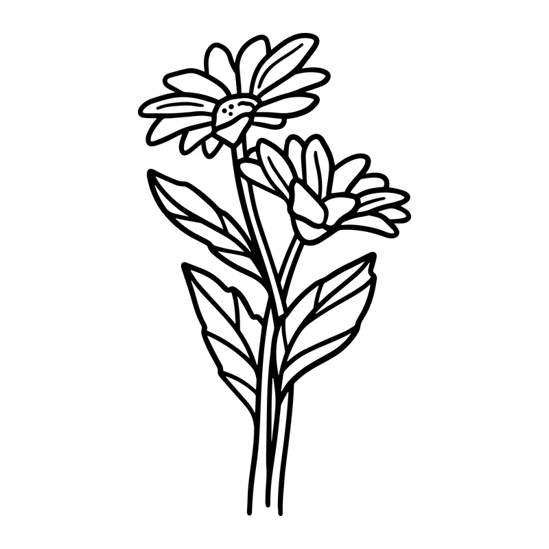 Daisy Stems Line Art