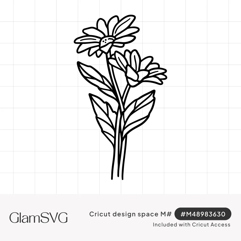Black line drawing of two daisies on long stems with large leaves, one bloom facing forward and one turned sideways