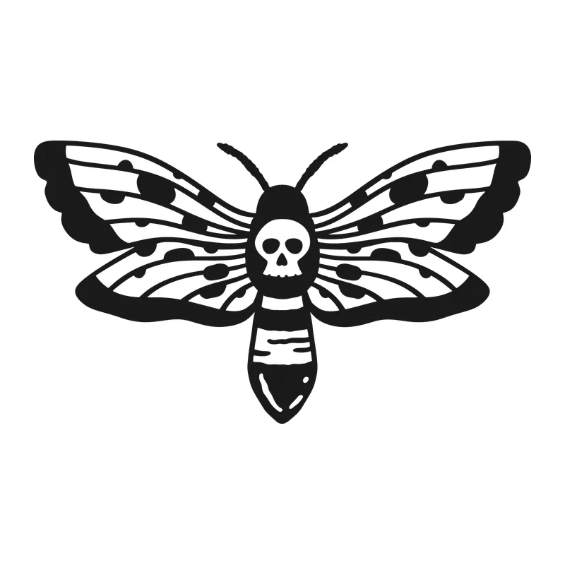 Death's Head Moth