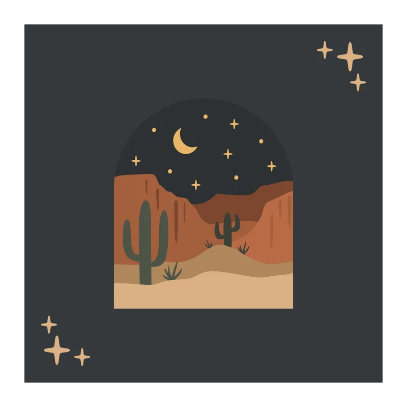 Desert Night Shadow Box