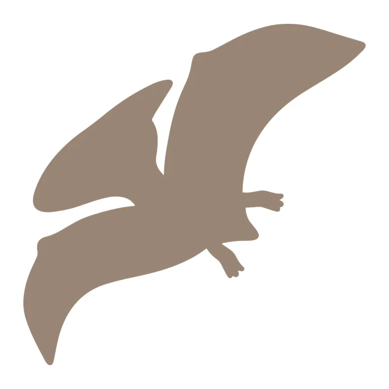Flying Pterodactyl Silhouette