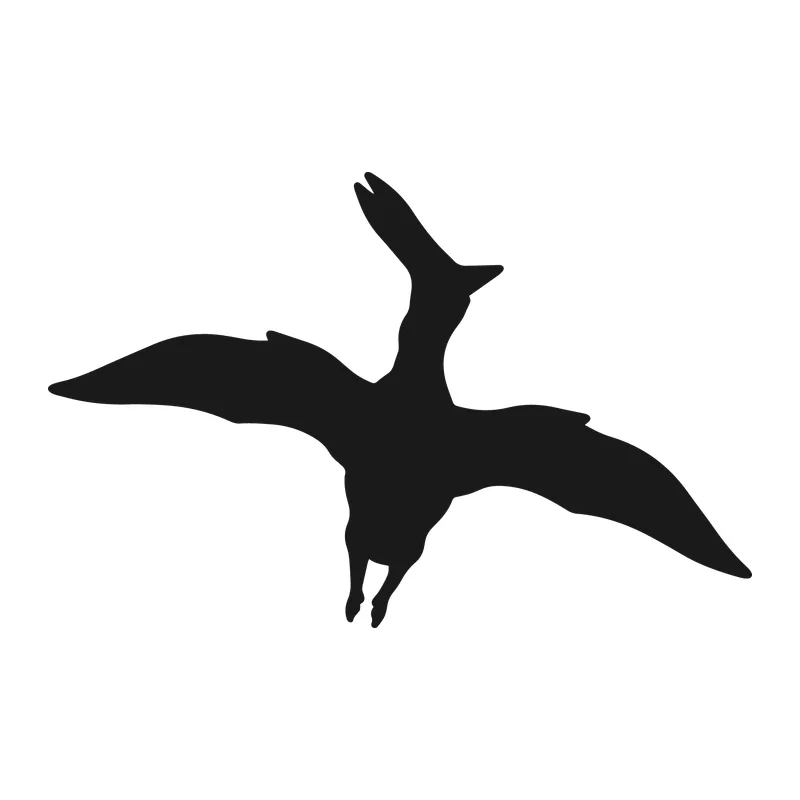 Flying Pterodactyl Silhouette