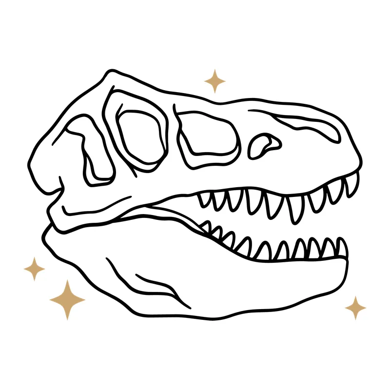 T-Rex Dinosaur Skull