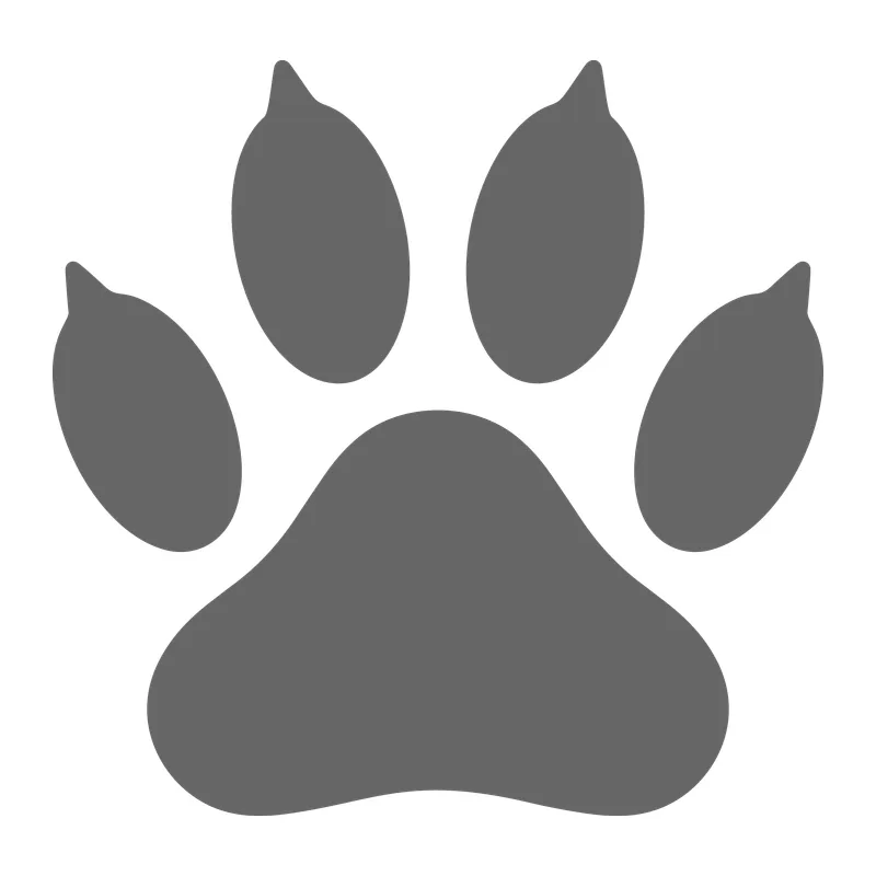 Dog Paw Print