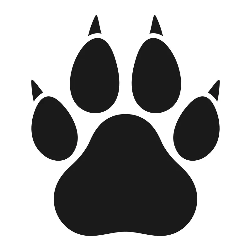 Dog Paw Print