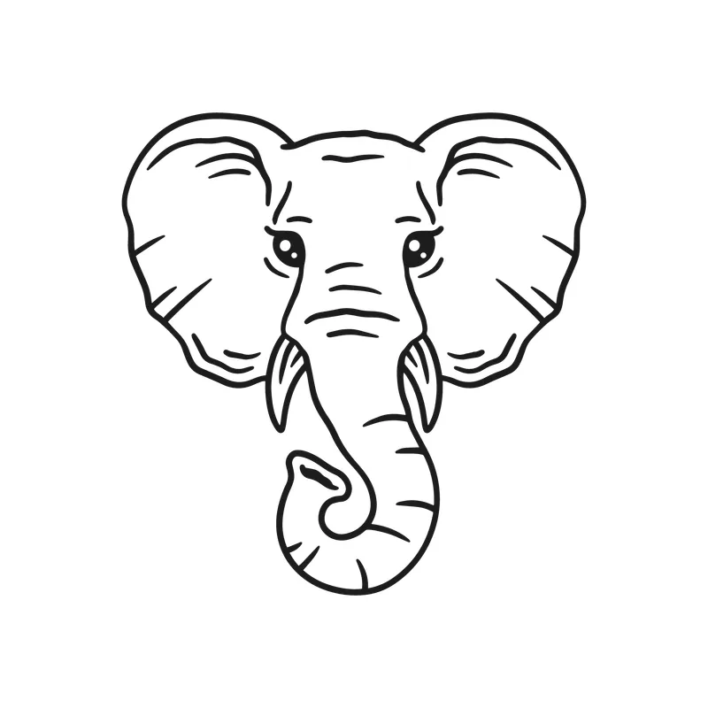 Elephant Face