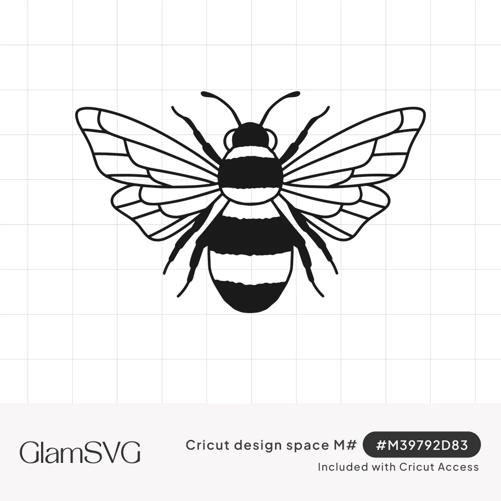 Black and white line drawing of a honey bee with striped body, veined wings, legs and antennae, seen from above
