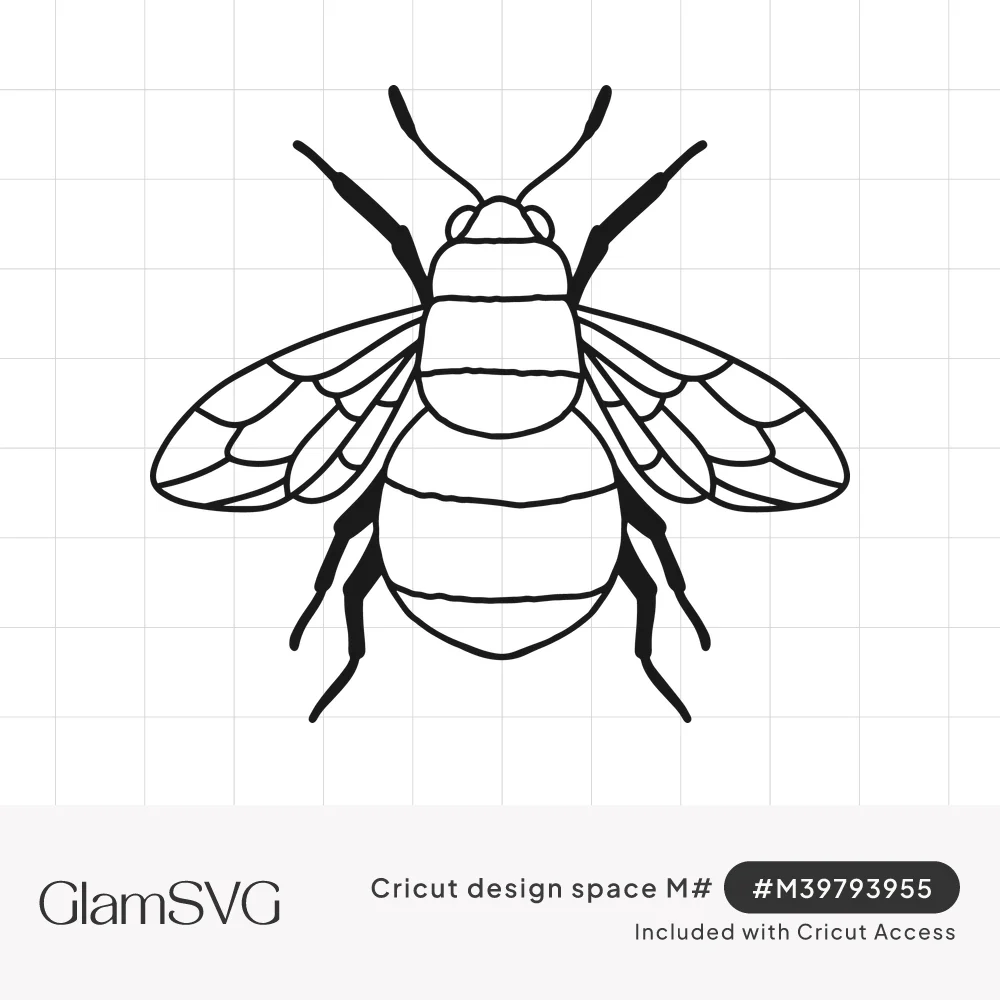 Black line art of a bumble bee seen from above with striped body, veined outstretched wings and dark legs