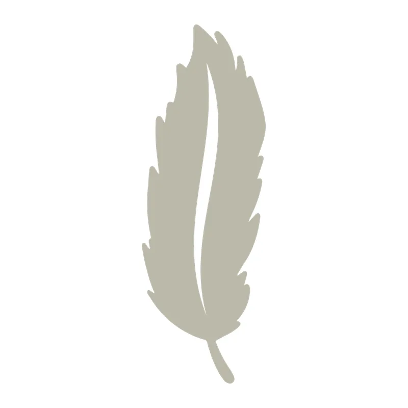 Boho Feather